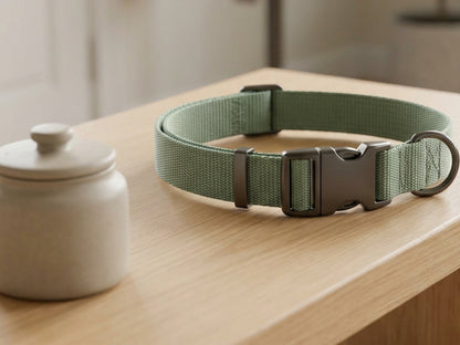Wvxo Adjustable Webbing Dog Collar Sage Green