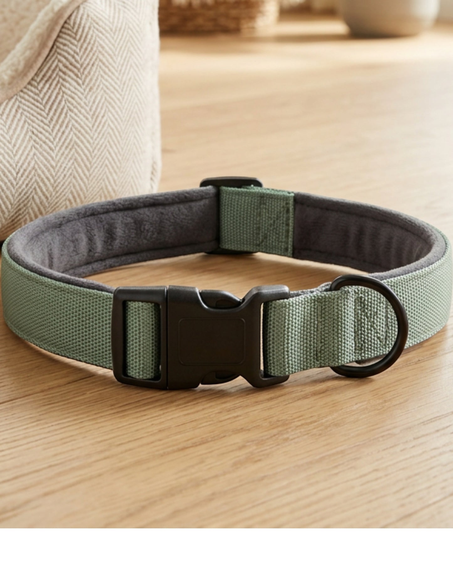 Wvxo Padded Pet Collar Large 2.5 cm Sage 40-60 cm Neck - Lifestyle view