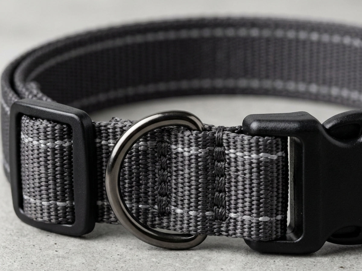 Wvxo Reflective Adjustable Dog Collar Charcoal