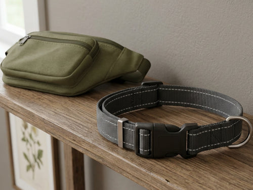 Wvxo Reflective Adjustable Dog Collar Charcoal